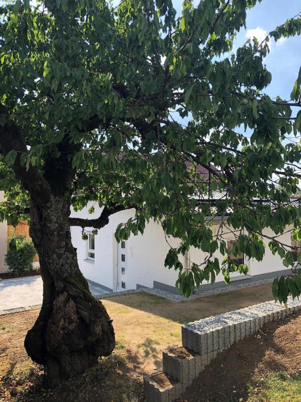 Ferienhaus Koeppel 巴特司塔福斯坦 外观 照片
